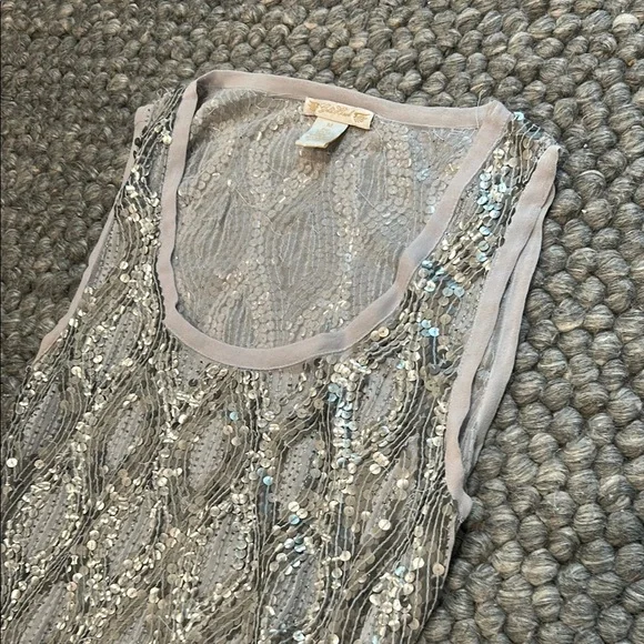 Gold Hawk 100% Silk Silver Sequin Dress Size Medium